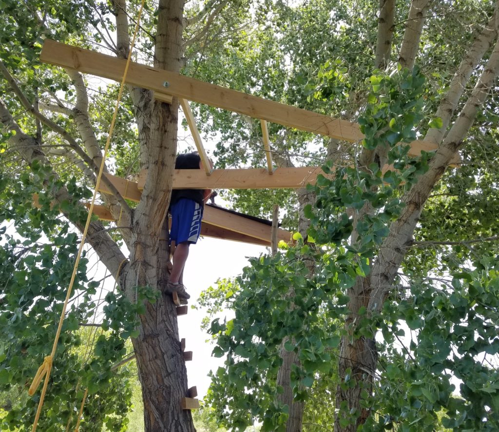 More floorboards added to the treehouse