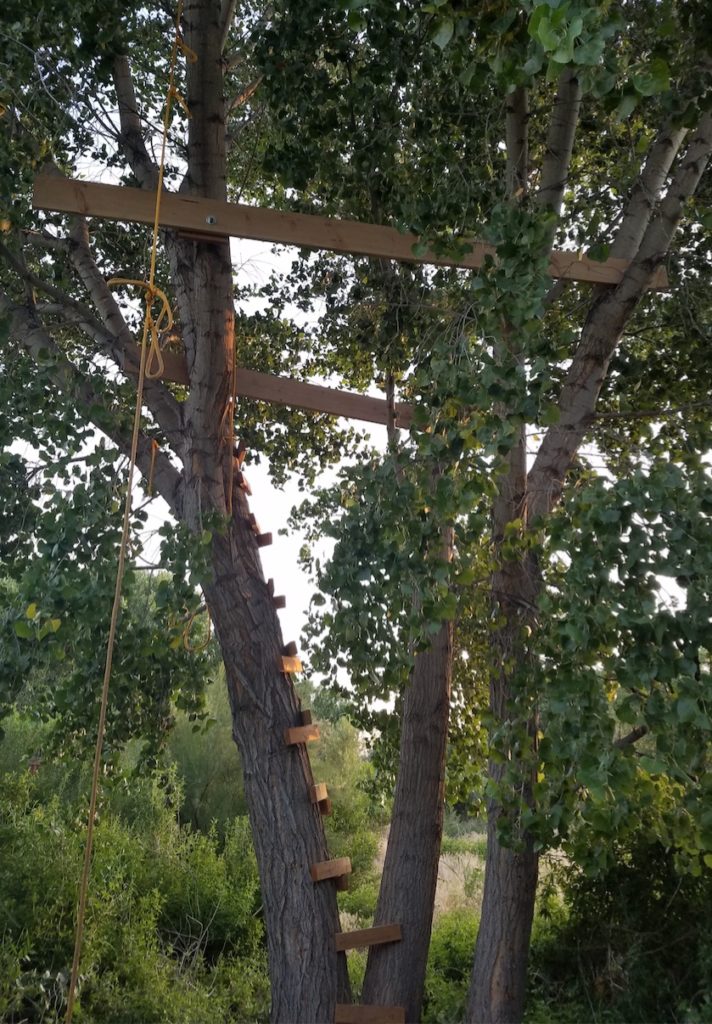 Tree house floor boards