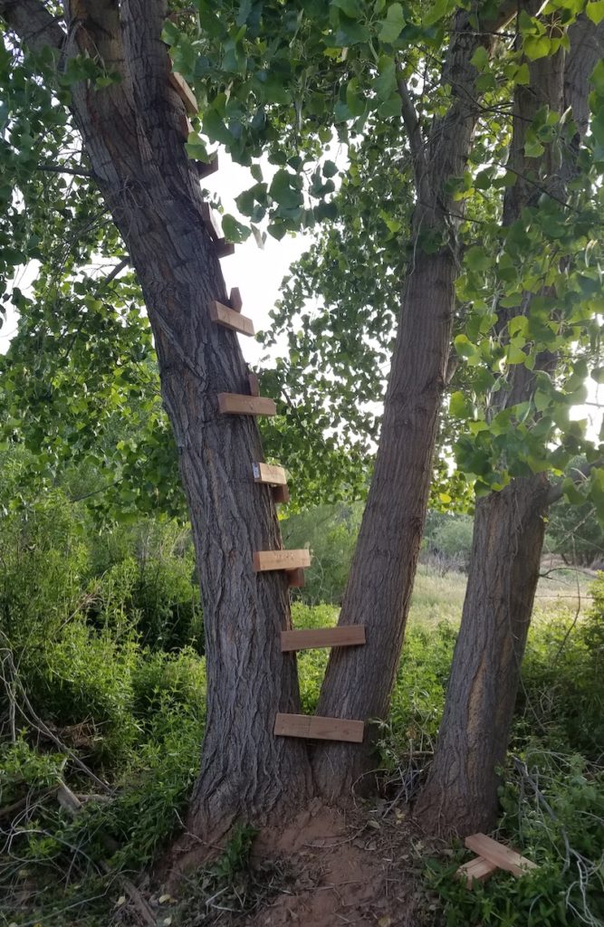 Ladder for the treehouse